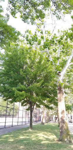 Park «Hoffman Park», reviews and photos, Hoffman Dr, Elmhurst, NY 11373, USA