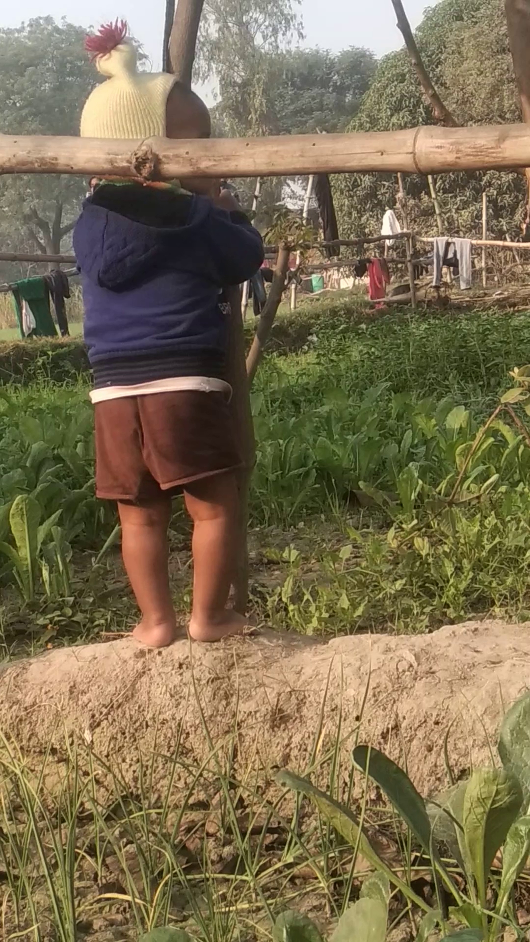 स्वामी शिवनारायन जी महराज आश्रम