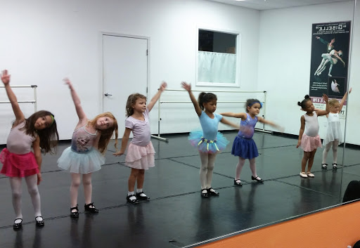Dance School «Dance and Circus Arts of Tampa Bay», reviews and photos, 1490 N Belcher Rd, Clearwater, FL 33765, USA