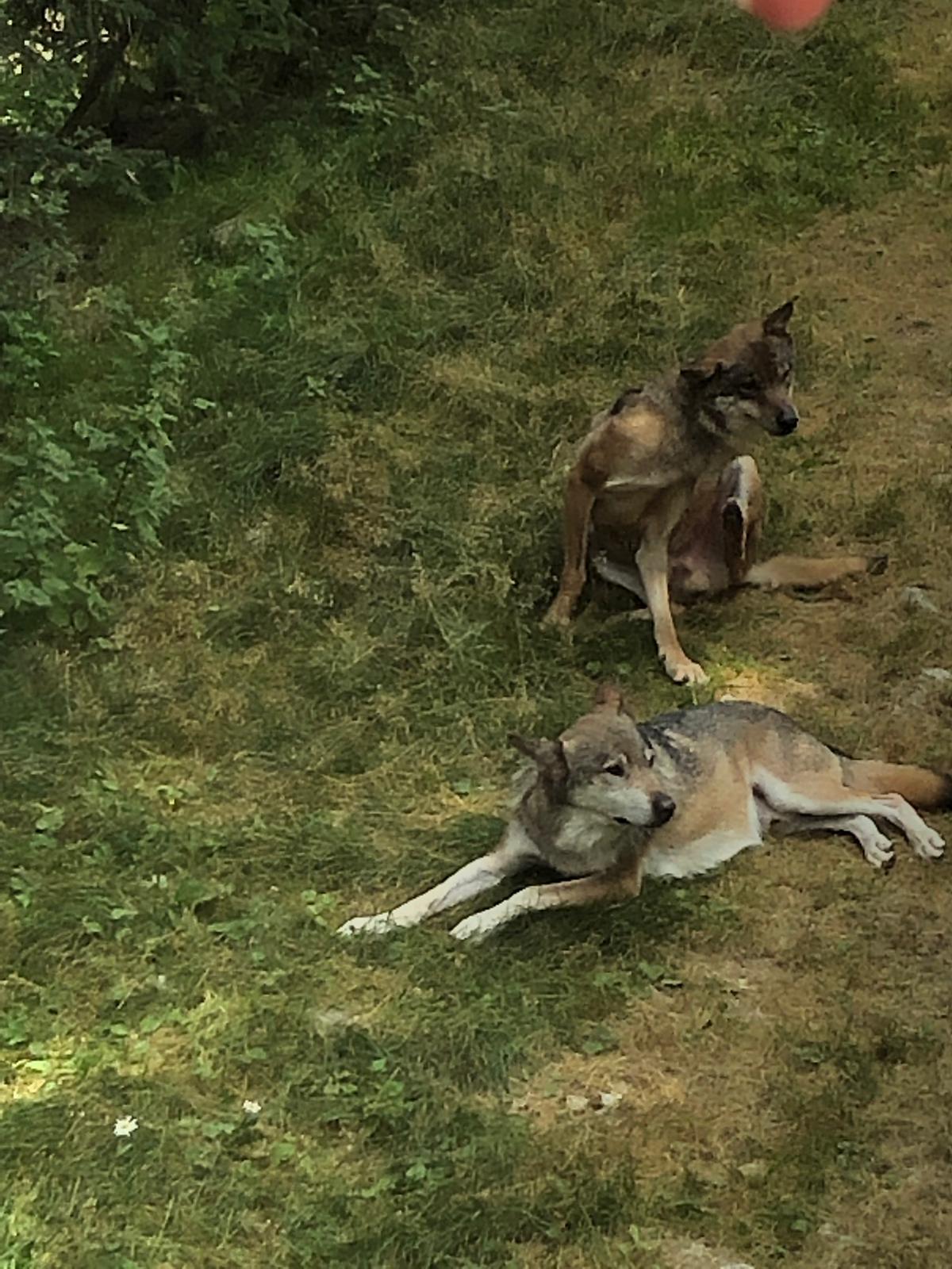 Photo n° 1 de l'avis de stephane.e fait le 20/08/2019 à 08:56