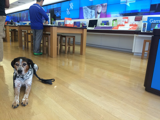 Computer Store «Microsoft Store», reviews and photos, 7007 Friars Rd #860, San Diego, CA 92108, USA