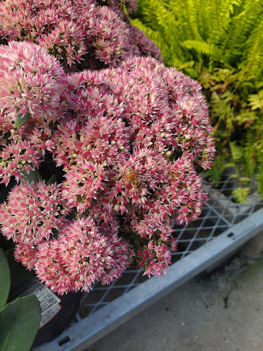 Home Improvement Store «The Home Depot», reviews and photos, 160 Laconia Rd, Tilton, NH 03276, USA