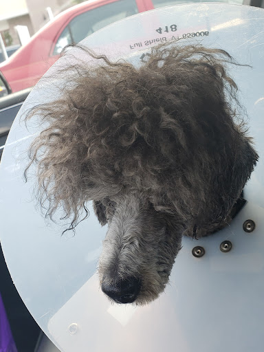 Pet Supply Store «PetSmart», reviews and photos, 3665 Marketplace Blvd, East Point, GA 30344, USA