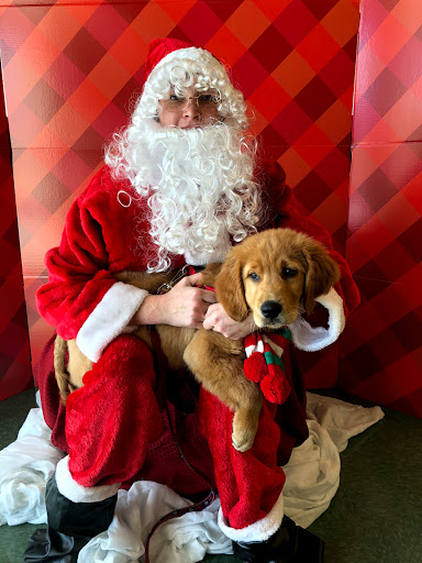 Pet Supply Store «Petco Animal Supplies», reviews and photos, 30697 US Hwy 19 N, Palm Harbor, FL 34684, USA