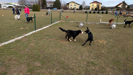 Hundesportverein Böheimkirchen