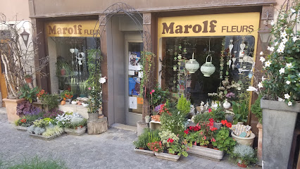 Marolf Fleurs Sàrl