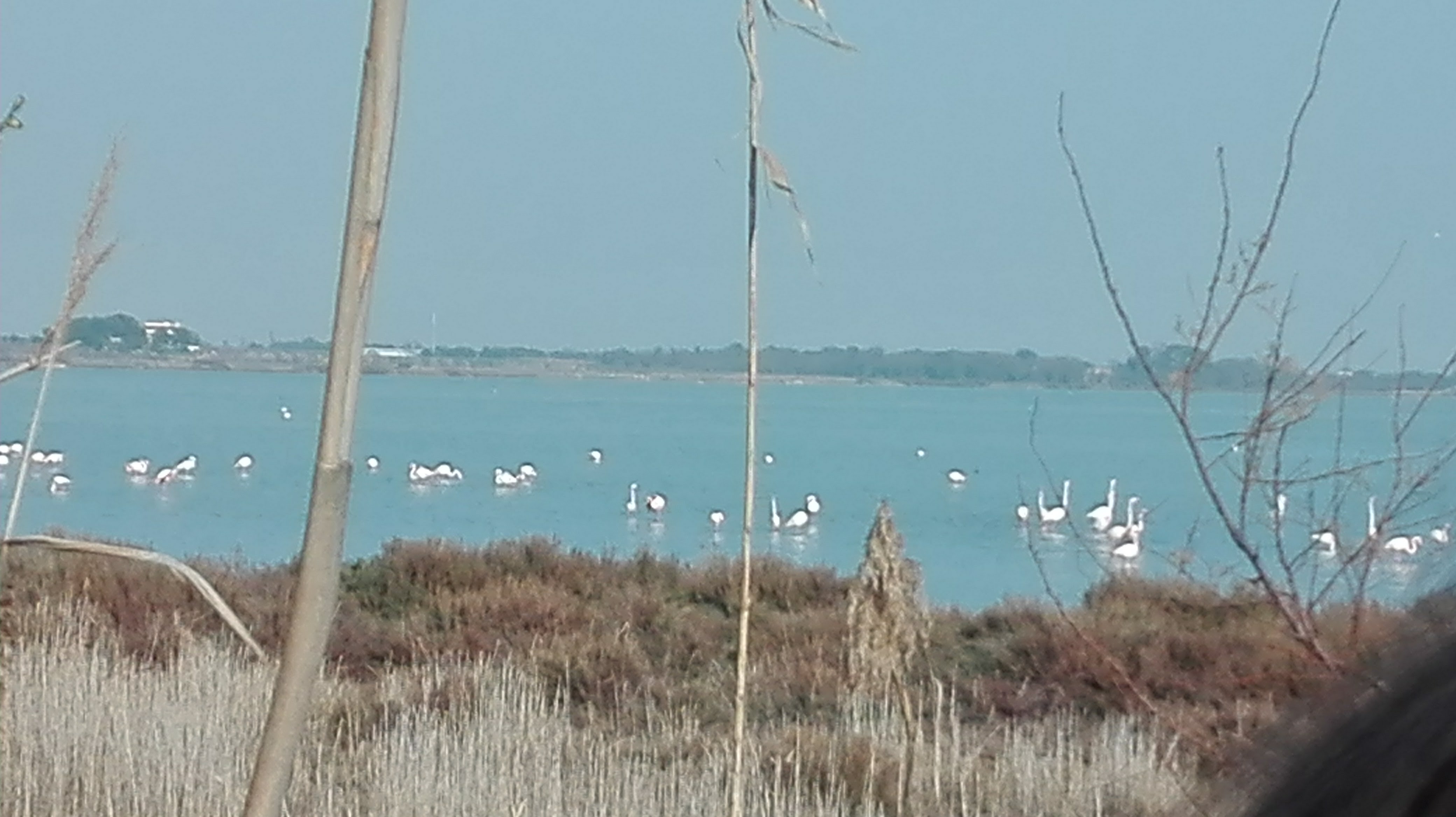 Photo n° 4 de l'avis de Marie.o fait le 04/03/2018 à 08:53