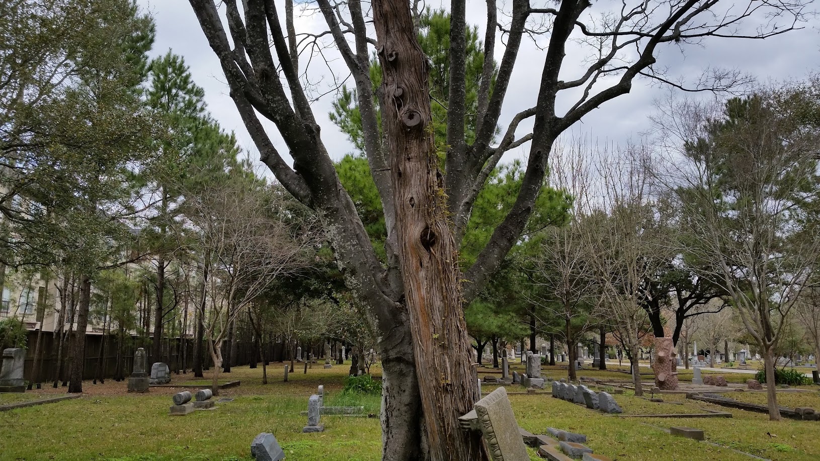 Washington Cemetery