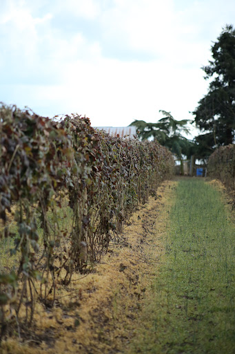 Produce Market «B&P Hitz Fruit Farm (Apples N Produce)», reviews and photos, 14070 Wilco Hwy NE, Woodburn, OR 97071, USA
