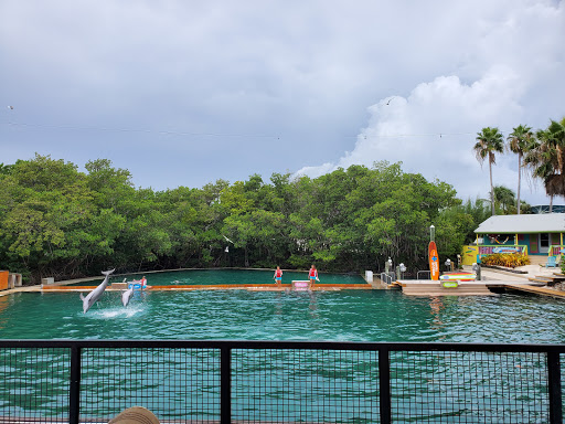 Aquarium «Miami Seaquarium», reviews and photos, 4400 Rickenbacker Causeway, Key Biscayne, FL 33149, USA