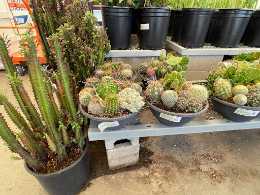 The Home Depot image