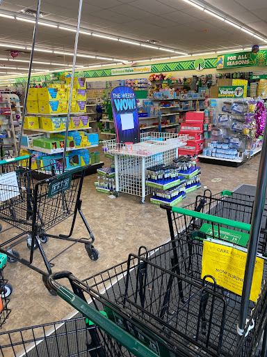Dollar Store «Dollar Tree», reviews and photos, 13741 S Tamiami Trail #4, Fort Myers, FL 33912, USA
