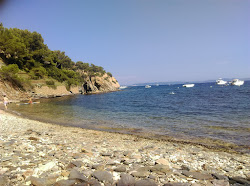 Zdjęcie Large Calanque beach dziki obszar