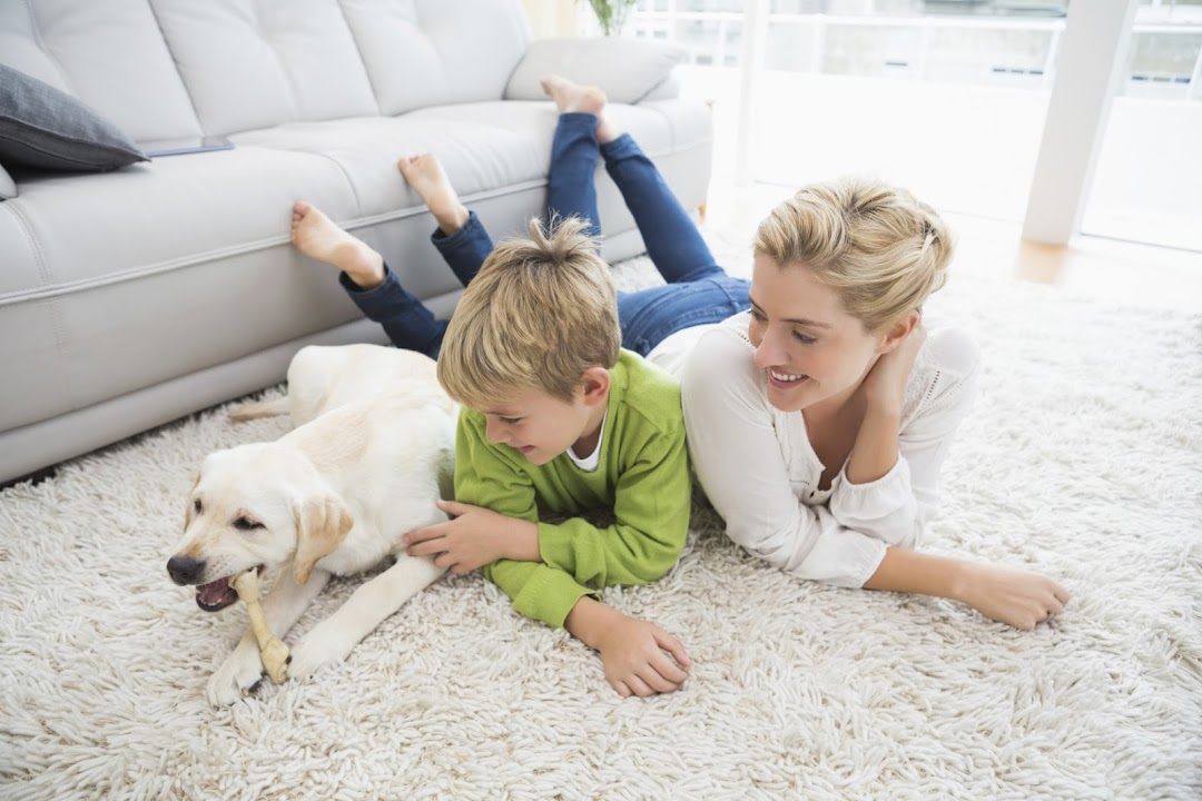 Brothers Carpet Service - Carpet cleaning company, Upholstery Cleaning, Rug cleaning Costa Mesa CA