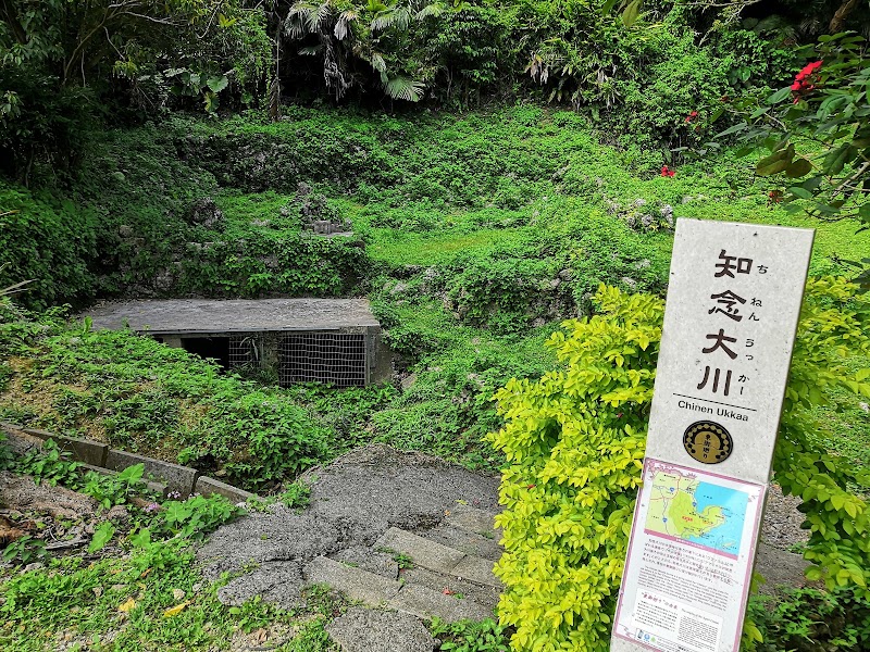 知念大川(ちねんうっかー)