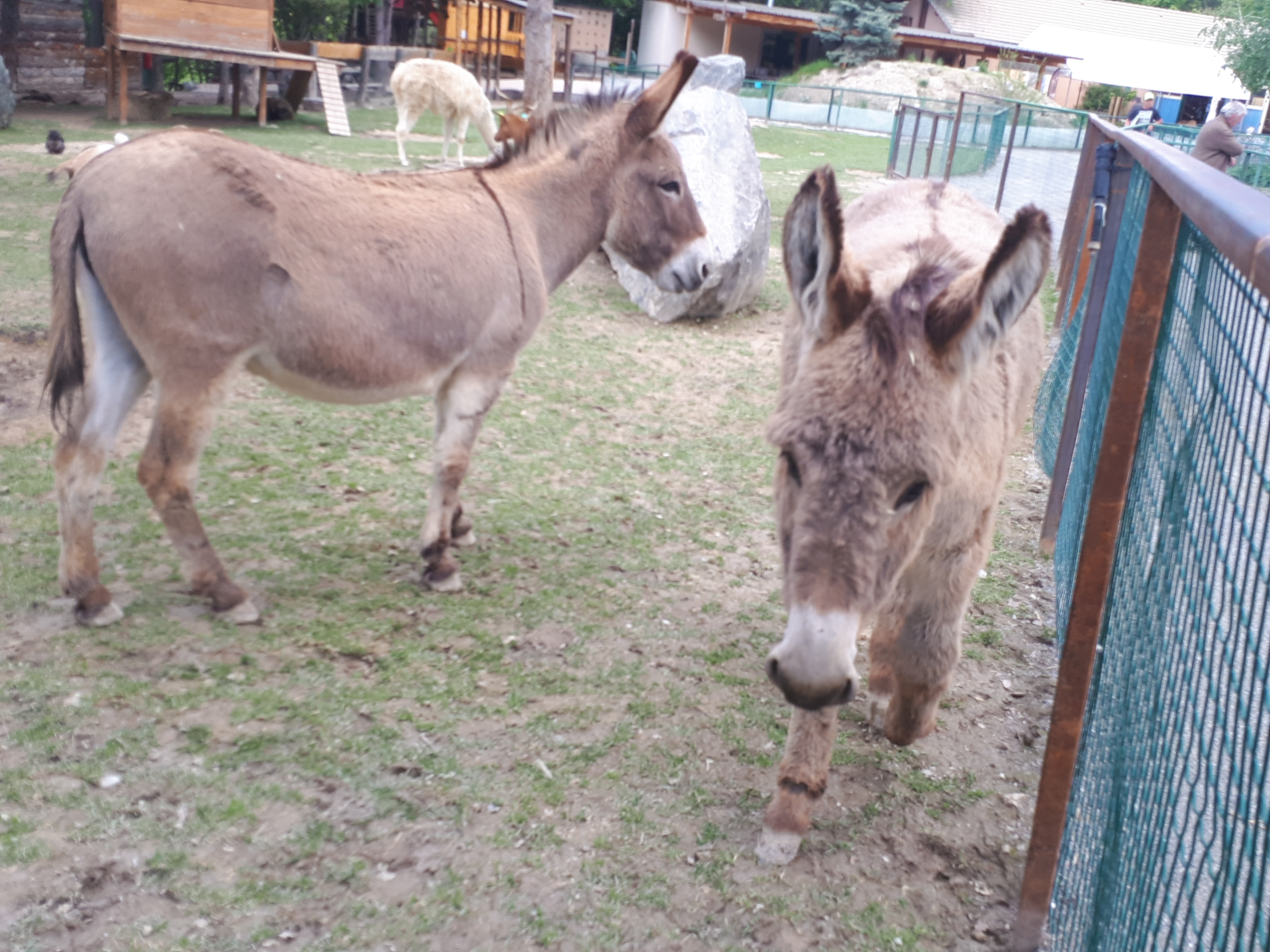 Photo n° 13 de l'avis de Nath.� fait le 16/05/2018 à 21:32