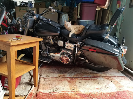 Motorcycle Parts Store «301 Cycle LLC», reviews and photos, 4761 Summit Bridge Rd, Middletown, DE 19709, USA