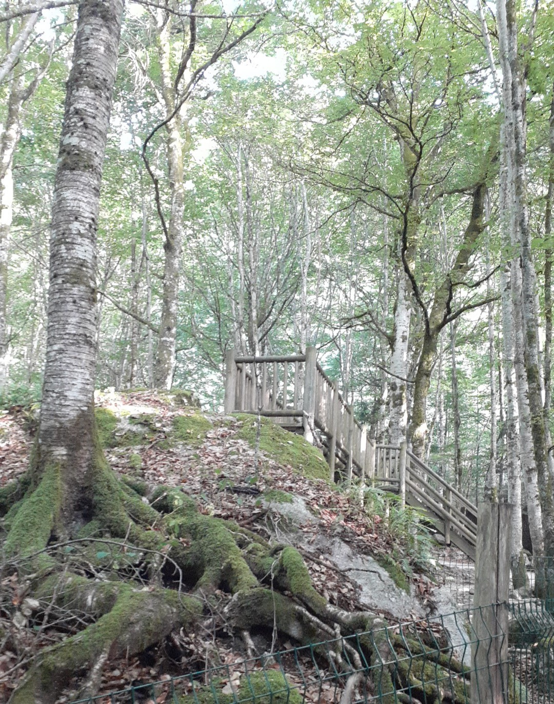 Photo n° 3 de l'avis de Orientale.v fait le 02/08/2022 à 16:21