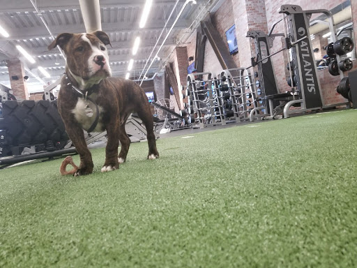 Gym «Powerhouse Gym», reviews and photos, 2075 Broadway, Redwood City, CA 94063, USA