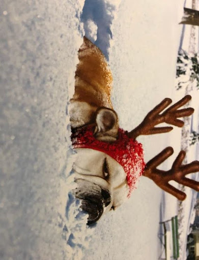 Notary Public «Mail Shoppe», reviews and photos, 10720 W Indian School Rd #19, Phoenix, AZ 85037, USA