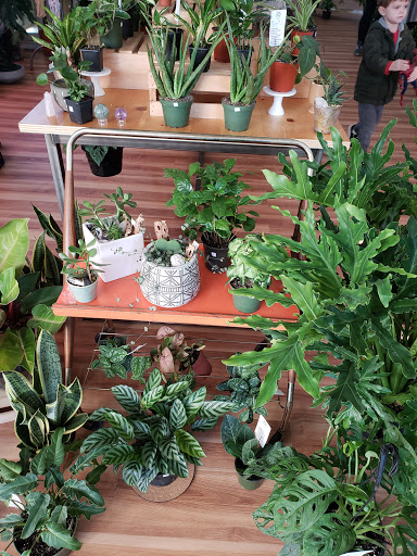 Wholesale plant nursery Fort Wayne