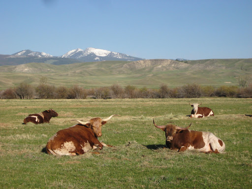 Grant-Kohrs Ranch National Historic Site, 266 Warren Ln, Deer Lodge, MT 59722