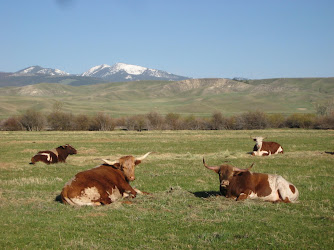 Grant-Kohrs Ranch National Historic Site