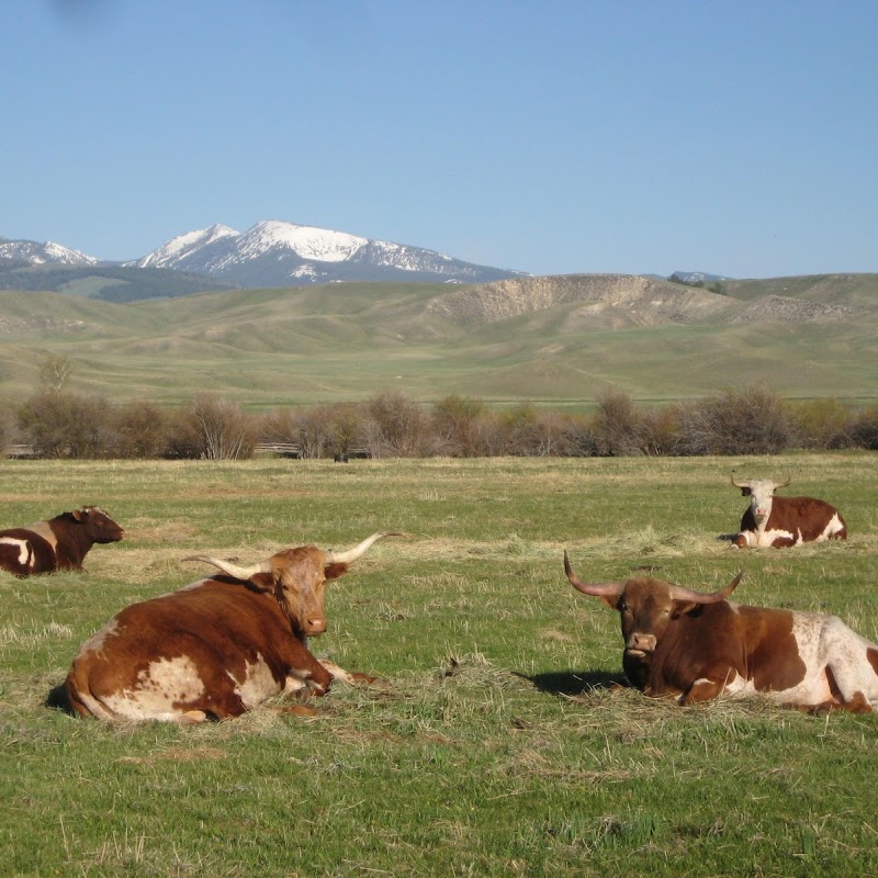 Grant-Kohrs Ranch National Historic Site