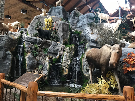 Sporting Goods Store «Bass Pro Shops», reviews and photos, 709 Janes Ave, Bolingbrook, IL 60440, USA