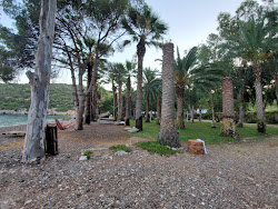 Bonjuk Bay beach'in fotoğrafı ve güzel manzarası