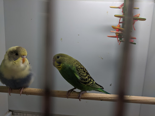 Pet Supply Store «Pet Supplies Plus», reviews and photos, 1240 Seminole Trail, Charlottesville, VA 22901, USA