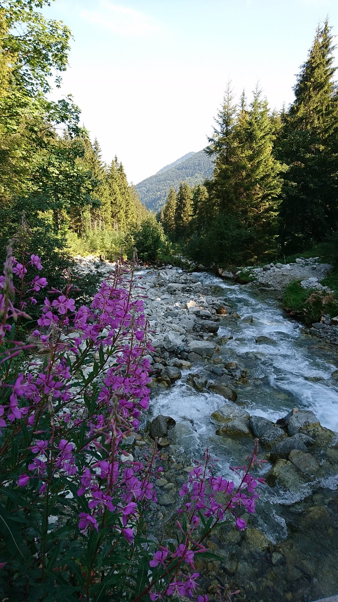 Photo n° 5 de l'avis de Flavie.o fait le 06/08/2018 à 10:49