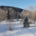 Photo n°1 de l'avis de Katrin.e fait le 11/01/2019 à 07:32 sur le  Hotel Imbery à Hinterzarten