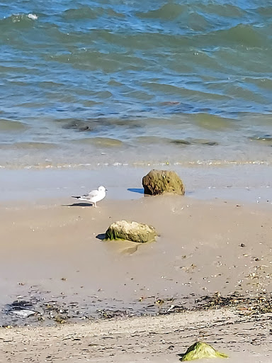 Wedding Venue «River Walk Center», reviews and photos, 600 N Indian River Dr, Fort Pierce, FL 34950, USA