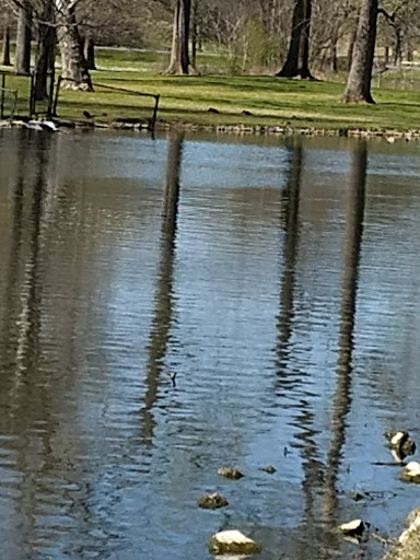 Golf Course «Vinny Links Golf Course», reviews and photos, 2009 Sevier St, Nashville, TN 37206, USA