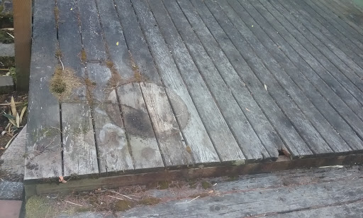 Park «Kern Park», reviews and photos, SE 67th Ave & Center St, Portland, OR 97206, USA