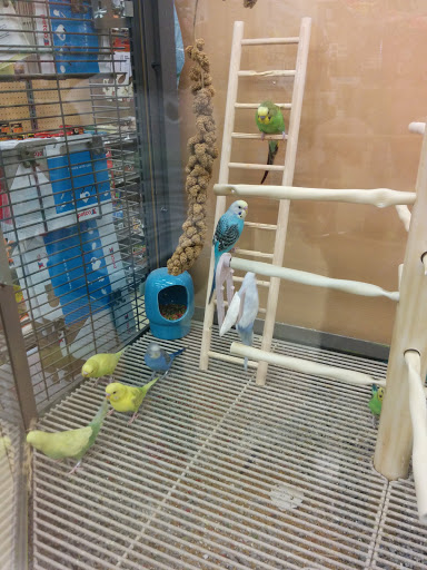 Pet Supply Store «Petco Animal Supplies», reviews and photos, 1621 Emmet St N, Charlottesville, VA 22901, USA