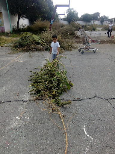 Canchas Los Heroes Ecatepec 2da Seccion