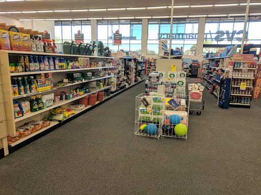 Drug Store «CVS», reviews and photos, 10455 S De Anza Blvd, Cupertino, CA 95014, USA