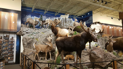 Outdoor Sports Store «Field & Stream», reviews and photos, 2075 Interchange Rd, Erie, PA 16509, USA