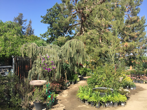 Botanical garden Bakersfield