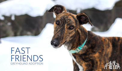 Fast Friends Greyhound Adoption