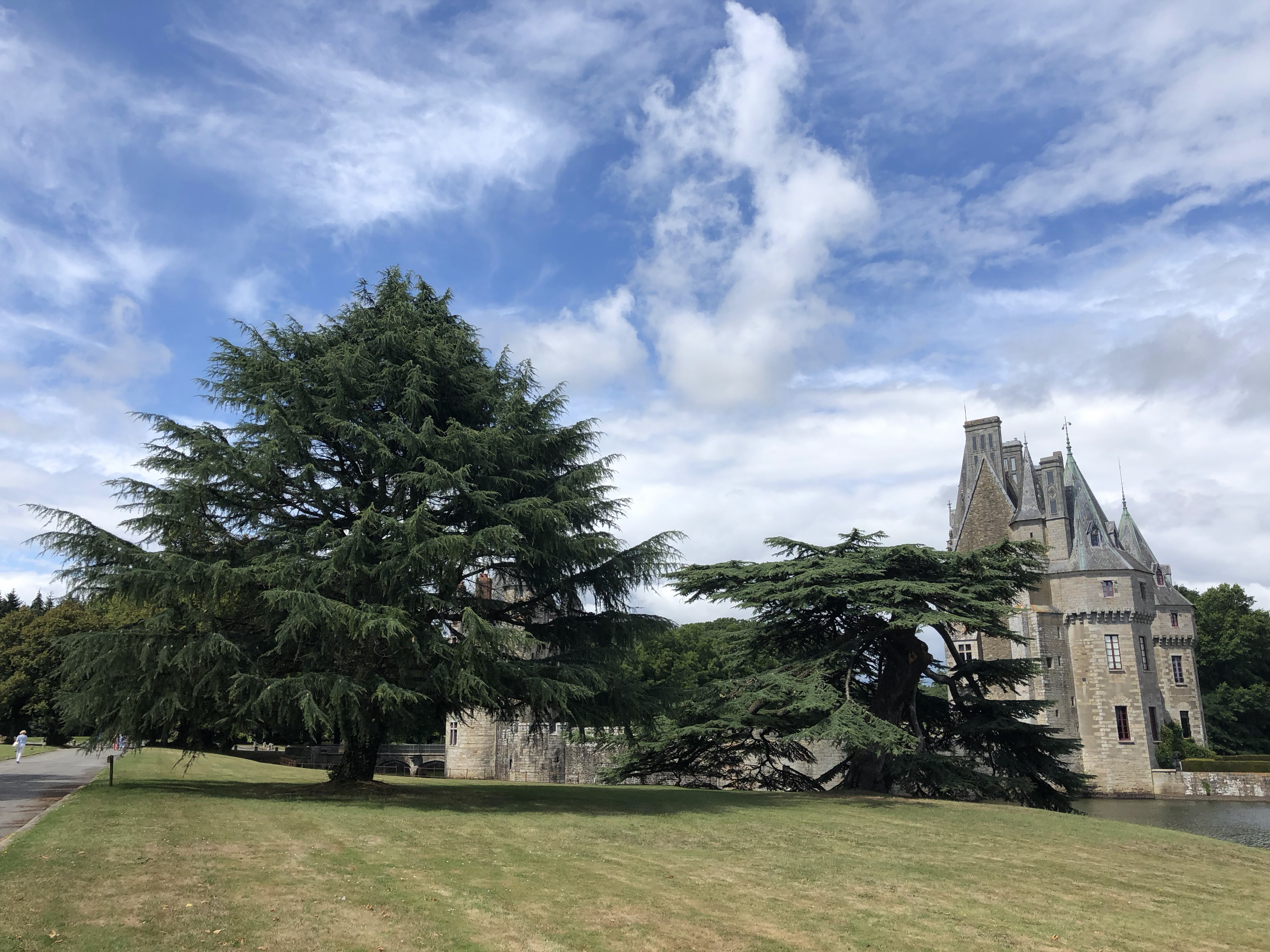 Photo n° 7 de l'avis de Benoit.o fait le 22/08/2018 à 05:36