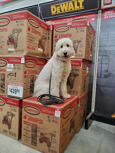 Dog Trainer «Off Leash K9 Training, Charlottesville», reviews and photos, 8782 Seminole Trail, Ruckersville, VA 22968, USA