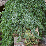 Photo n°7 de l'avis de Lauren.e fait le 13/10/2023 à 20:53 sur le  Agriturismo Podere Spedalone à Pienza