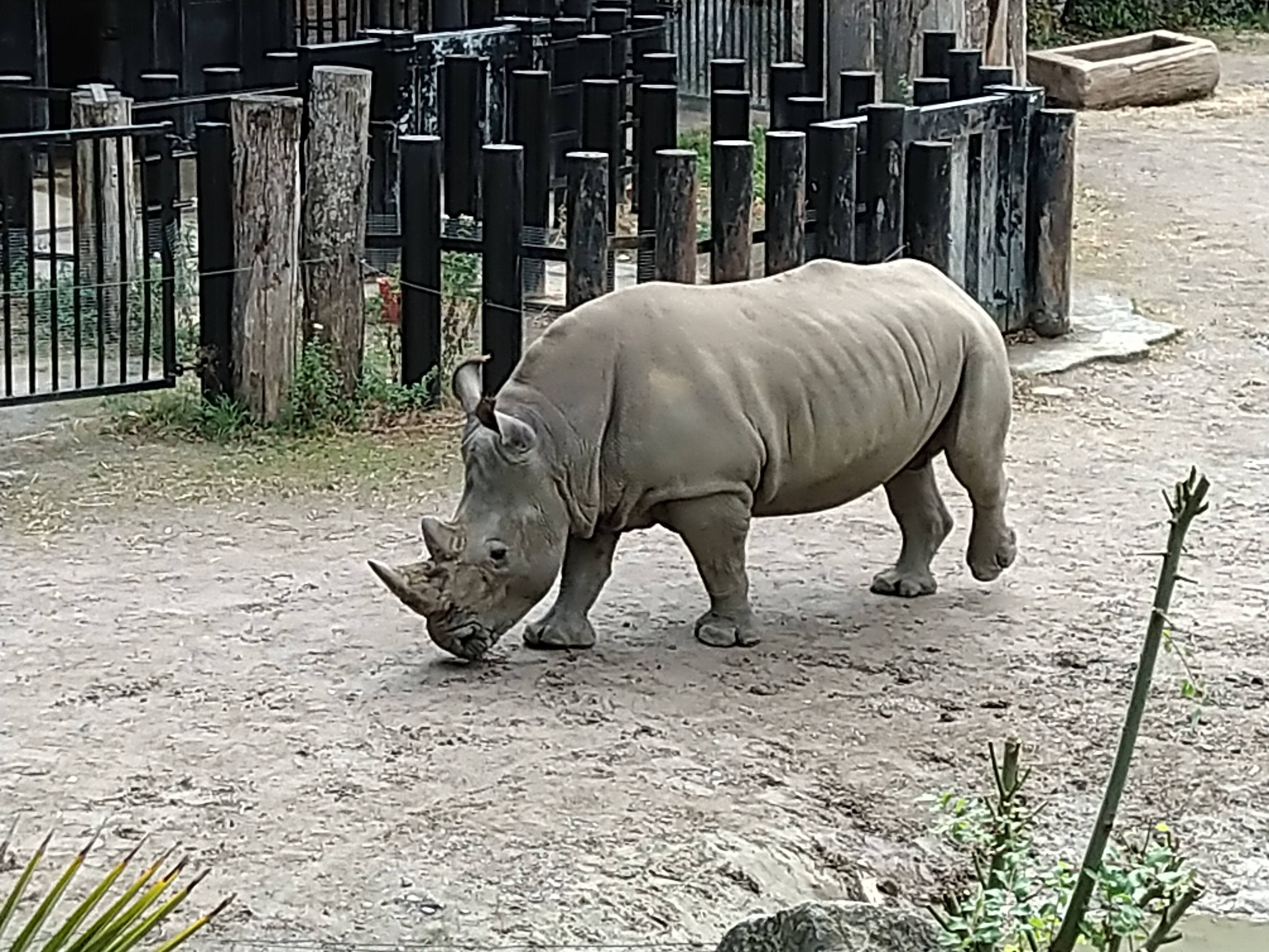 Photo n° 12 de l'avis de HardLoSeDa. fait le 15/08/2019 à 14:36