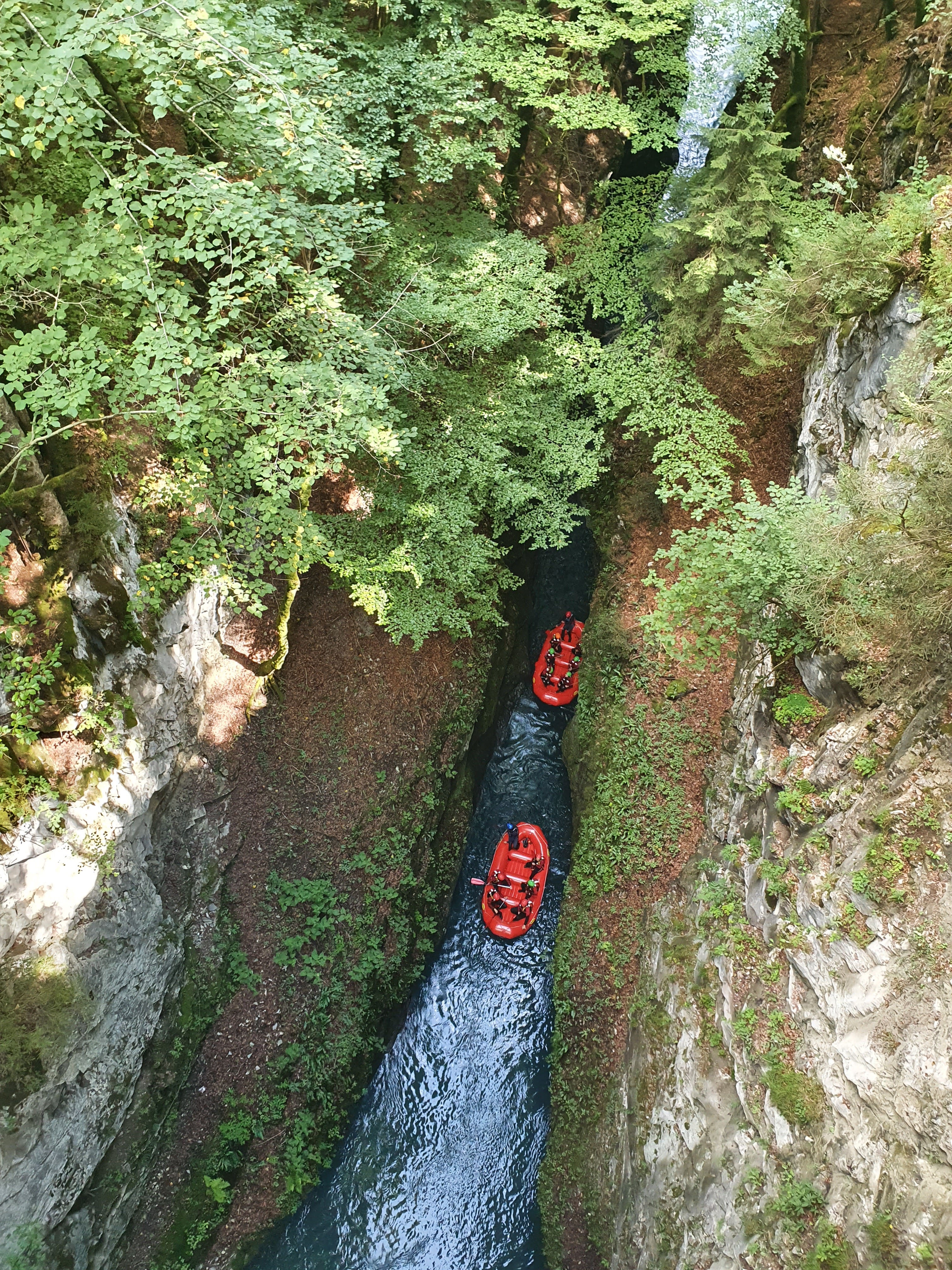 Photo n° 9 de l'avis de D.a fait le 24/08/2021 à 07:42
