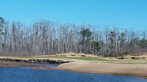 Golf Club «Cape Fear National Golf Course at Brunswick Forest», reviews and photos, 1281 Cape Fear National Dr, Leland, NC 28451, USA