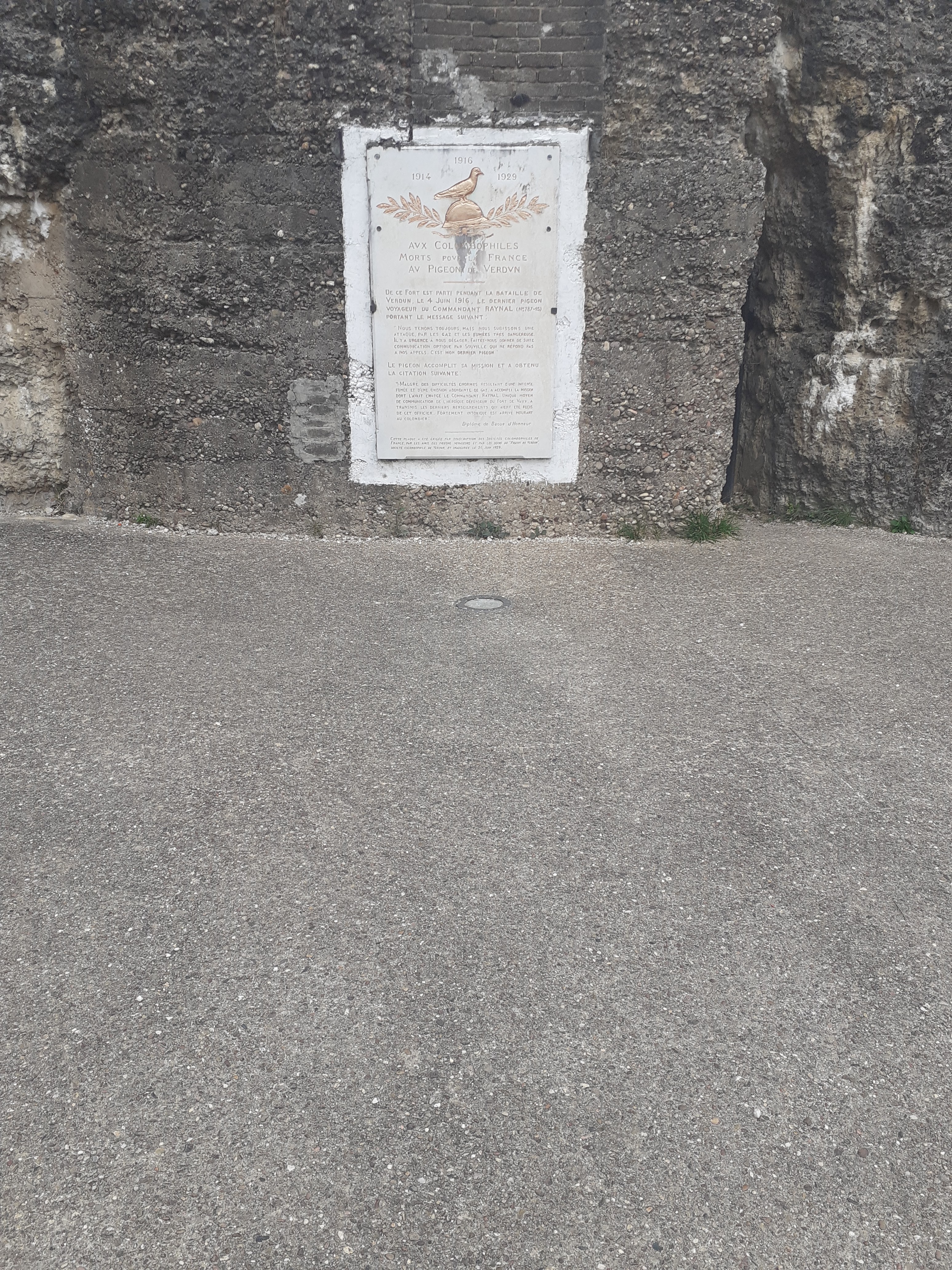 Photo n° 2 de l'avis de Josyane.u fait le 28/08/2022 à 19:02