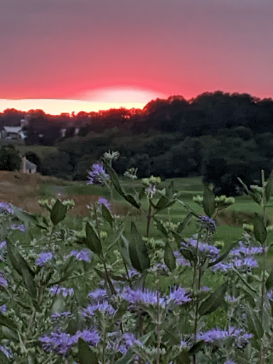 Golf Club «Wyncote Golf Club», reviews and photos, 50 Wyncote Dr, Oxford, PA 19363, USA